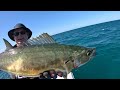 GIANT Trevally Caught on LIGHT GEAR | Red Bass on Top Water | Port Douglas | East Coast Angling