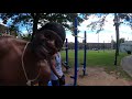 Calisthenics fun Pt3