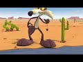 Every Wile E. Coyote and Road Runner Chase (V2)