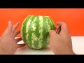 10 WATERMELON HACKS!