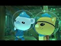 ​@Octonauts - 😼 Kwazii's Tales of Spooky Sea Monsters 👻 | 🎃 Halloween | 120+ Mins Compilation