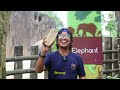(ENG SUB) Zooku at Home 2022 Episode 1 - Asian Elephants | Zoo Negara Malaysia