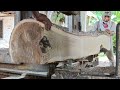 hard and termite resistant!! acacia wood sawing process.