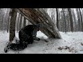 Winter Bushcraft Camp with my Dog - Building a Lean-To