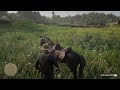 The easiest way to get a fast ARABIAN HORSE! - RDR2