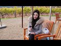 2-Day Napa Wine Tasting VLOG: Domaine Carneros, Opus One, Caymus, Alpha Omega