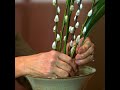 Les tutos de la MCJP : Ikebana - Ecole Ikenobo