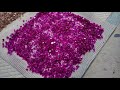 #902 How To Make Your Own Coloured Crushed Glass For Resin Coasters