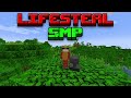 King of Lifesteal SMP