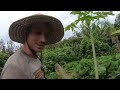 This Man’s Revolutionary way of Farming in Hawai’i