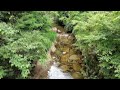 【自然音】 川のせせらぎ・鳥のさえずりでリラックスを／Relax with the sounds of the river and birds singing