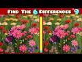 Find 3 Differences With A Cute Cat Puzzle - Brain Test With @PuzzleWorldStudio