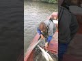 Best Secret Fish Tool/ So Amazing Catching Lot Of Sea Fish 🐟🎣#shorts #viral #fishing