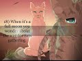 Little WarriorCat Things Some Fans Do! (OLD)