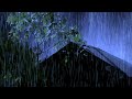 Fall into Sleep in 5 Minutes with Heavy Rain & Thunder Intense Sounds on Tin Roof in Forest at Night