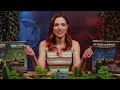 How to Play Clash of Steel Board Game | How to Game with Becca Scott