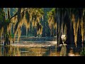 Swamp blues - slide/bottleneck banjo