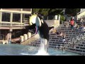 One Ocean (Full Show) at SeaWorld San Diego 10/25/16