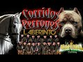 corridos perrones mix Grupo laberinto