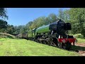 bluebell railway and severn valley railway running Flying Scotsman included)