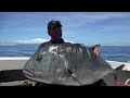 GT fishing is awesome!! The World of GT fishing and attraction. Tanegashima Island,Japan.