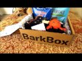 First BarkBox!!! (August 2014)