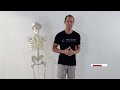 1 Quick Exercise for SI Joint Pain Relief (and Piriformis Syndrome)