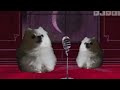 Ghost Duet - Dog meme Version