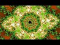 Golden Green - Mandelbrot Fractal Zoom