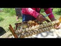 HOW TO USE THE  NICOT  QUEEN REARING SYSTEM_ Raising  Your Own Queen Bees