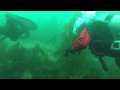 Scuba Diving in the Arctic Ocean