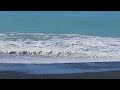 Napier Beach NZ.   3.6.23 chilling