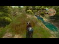 The Witcher 3: Wild Hunt - WTF Moments