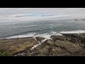 Cape Arago State Park (Sea Lions) Charleston Oregon Port