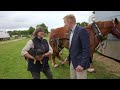 Rare & Majestic Heavy Horses in The Show Ring