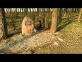 Hubsan Zino I World War old graveyard Pustulka, Czyzykow