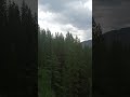 suspension bridge in kananaskis