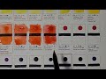 Winsor and Newton Watercolor Dot Card Swatch and Chat