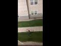 Spiderman Does a Flip