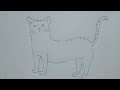 🎨 Simple Standing Cat Drawing Step By Step | Pencil Sketch 🐱✏️