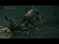 Elden Ring Parry Margit level 1