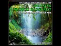 Natural Sounds for Sleep: Relaxing Tropical Rainforest