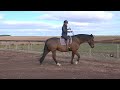 How To Canter On A Horse Without Fear