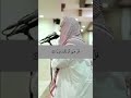 ماشاء الله تبارك الرحمن ربي  يحفظ القرآن الكريم  وقارئه