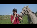 Fun Trail Riding Adventure With My Horse