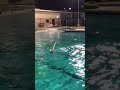 Mallory Solo Swim (1/18/22)