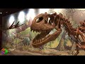 The Herbivorous Raptor That Wasn’t | Fukuivenator