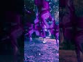 DaNcE🌈 YOUTUBE RUIN THE VIDEO QUALITY🤬 by Louise Cheri