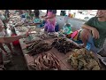 Pasar Ikan Kota Kinabalu udang harimau besar besar gais🦐FULLTOUR Market🐟