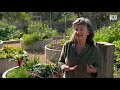A landscape designer using nature as design inspiration | My Garden Path | Gardening Australia